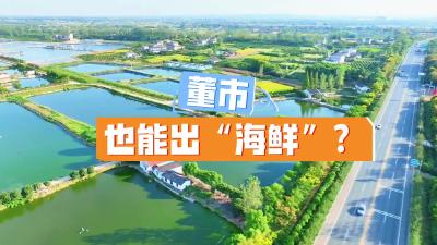 枝江没有海，但能养“海鲜”！快来枝江董市“捞虾”吧~