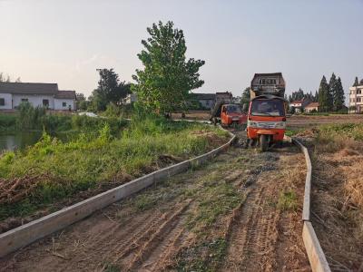 三王庙村：道路硬化暖人心