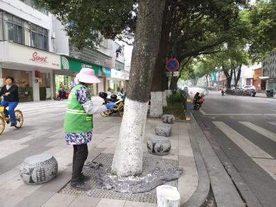 枝江住建：树木“换装”迎寒冬 