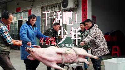 【干活吧！少年】年关将至，年味渐浓。杀年猪，是人们准备过年的开场大戏。今天，就带大家来看一下，枝江农村杀年猪是一个什么场面？