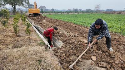 修好田间作业道 打通菜农“连心路”