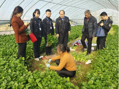 枝江：积极开展农产品质量安全监督抽检 全力守护群众“舌尖上的安全”