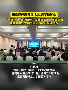 近日，“藏宜连心 就业同行”就业援藏工作座谈会暨西藏籍就业大学生回访活动在枝江举行