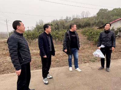 胡家畈村：送农资备春耕 传政策增信心