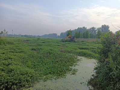 桑树河村：清河道闸口，保障农田畅饮“解渴水”