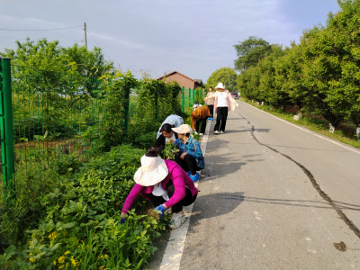 秦家塝村：巾帼志愿展风采 乡村振兴添活力