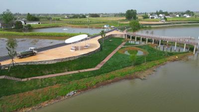 陶家湖畔展新颜：代家店村绘就美丽乡村建设生动画卷