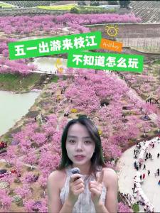 【向你推荐】五一出游来枝江，不知道怎么玩，来这里就对了！今天我们打卡的是——同心花海