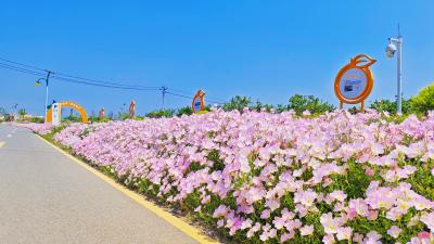 向巷村：春意盎然 一路生花 