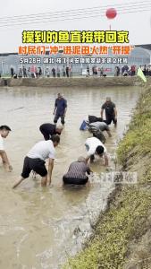 “摸鱼”怎能不快乐？5月28日，枝江问安镇陶家湖非遗文化周，村民在泥田欢乐“摸鱼”