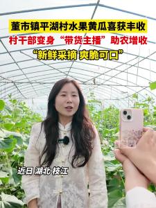 近日，枝江董市镇平湖村水果黄瓜喜获丰收，村干部变身“带货主播”助农增收