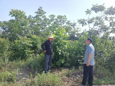 火山口村百户征迁零冲突护航沪渝高速改扩建