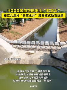 ​4000余亩农田喝上“解渴水”！枝江九龙村“共享水井”灌溉模式助农抗旱！