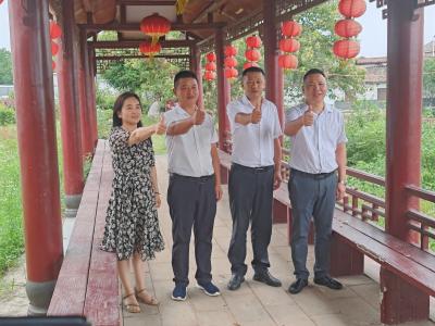 顾家店镇：联村共建搭“云桥” 四村同心拓富路 