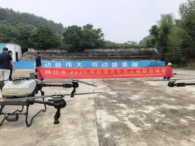 枝江：无人机精准喷药 织密松林防护网