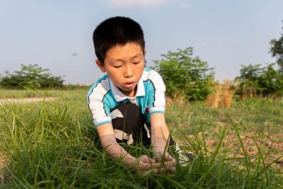 “昆虫”少年鄢博文：百里洲上的“小法布尔”