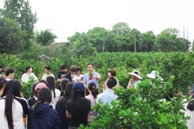 从花田课堂到产业实践：长江大学园艺园林学院学子探秘花卉产业全链条