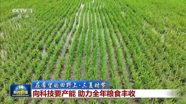 刚刚，《新闻联播》报道枝江