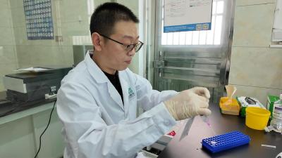 湖北枝江：社会化服务“全周期护航”，破解水产业“小、散、杂”难题