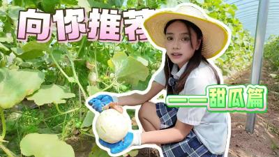 ​【向你推荐】在枝江想吃到颜值高、口感好、山姆超市同款的甜瓜，来这里就对了，今天我们打卡的是拓宝峻农业专业合作社。