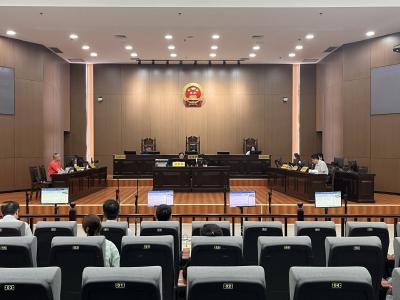 市人大常委会视察市人民法院庭审工作