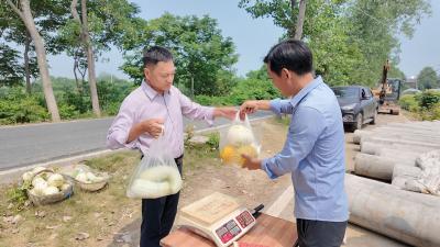 泰洲村：百亩瓜果大棚结出“共富果”