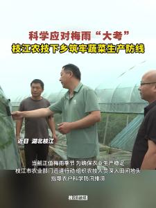 科学应对梅雨“大考”，枝江农技下乡筑牢蔬菜生产防线！