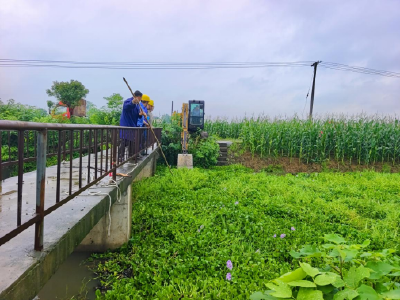 峰山岗村：风雨无阻清渠道，织密防汛“安全网”