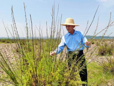 闪耀枝江身边人·中国好人事迹展播②薛传根：守一方水土，护一段林木，保一方平安