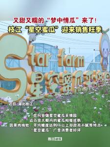 又甜又糯的“梦中情瓜”来了！枝江 “星空蜜瓜”迎来销售旺季！