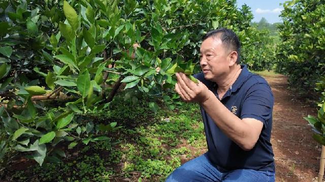 政协委员刘祖锋：科技赋能三农 履职情系振兴