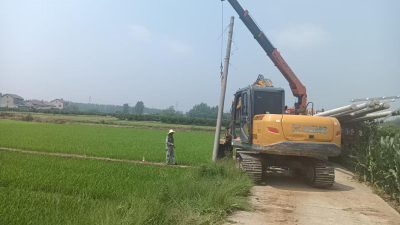 桑树河村：送电入田，解决燃眉之急