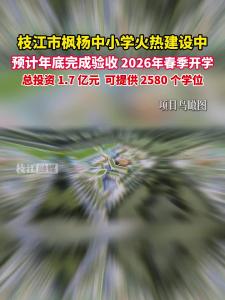 枝江市枫杨中小学火热建设中，预计年底完成验收，2026年春季开学