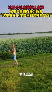 法国小孩点赞枝江金湖：很美！在巴黎看不到这样的景观~
