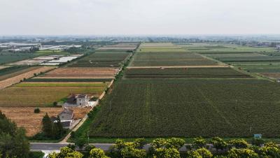 以提案为引加快建设优质农产品生产加工基地 助力全省供应区建设