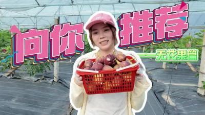 【向你推荐】打卡枝江好滋味，今天我们打卡的是东方年华采摘园——无花果