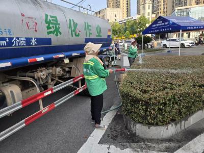 “护绿行动”为城市绿植“解渴降温”
