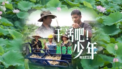 【干活吧！少年】藕带丰收季，一起来体验抽藕带的过程……