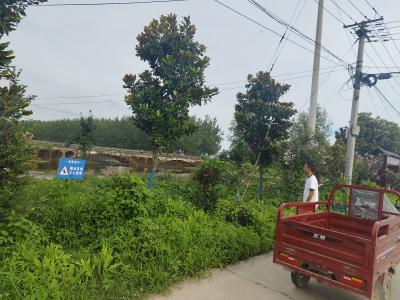 杨林湖村：多举措织密防溺水“安全网”，守护生命防线