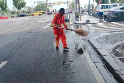 枝江城管：夏季防蚊蝇 清洁家园护健康