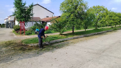 秦家塝村：清除路肩杂草保畅通
