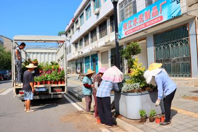 同心花海：顶骄阳战高温 精细施工不停歇