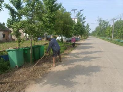 七星台镇：江鸭路撒花籽 大埠街村添新景 