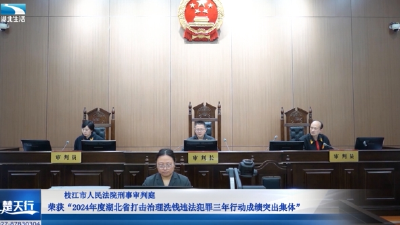 湖北电视台报道枝江法院打击治理洗钱违法犯罪三年行动先进事迹