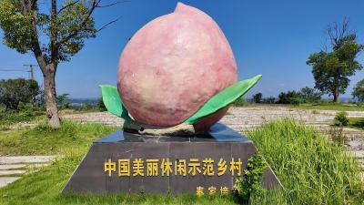 安福寺镇黄桃丰收正酣