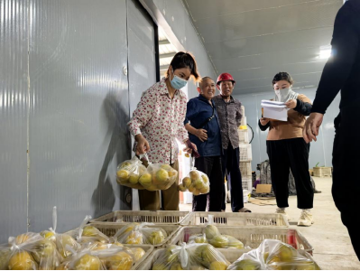 柏杨冲村：千斤黄桃送清凉 甜蜜心意暖民心