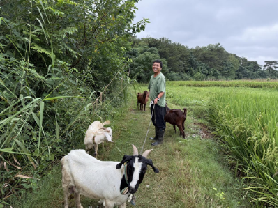 周金龙：奋斗不止，用双手书写自立人生
