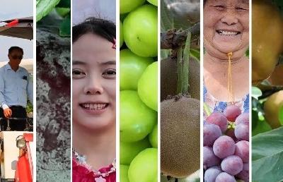湖北枝江：丰收遇上“多巴胺”，快来pick你心仪的“丰收色”