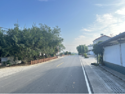 七里冲村环境整治再升级 道路绿植穿上“防护衣”