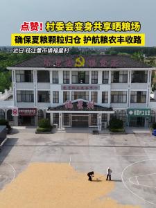 点赞！枝江董市镇福星村村委会变身共享晒粮场，确保夏粮颗粒归仓